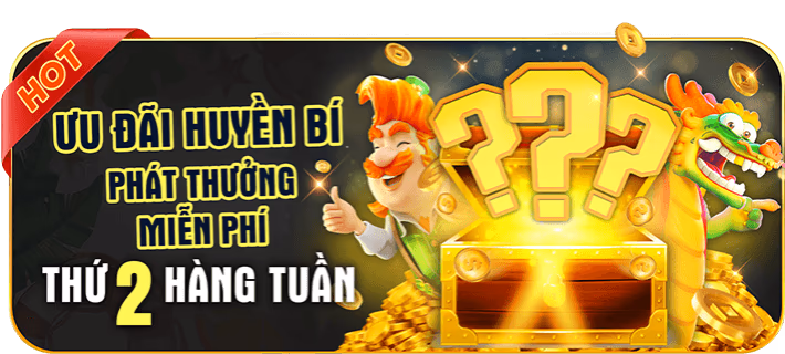Biểu tượng bảo mật thông tin và riêng tư tại k8vina