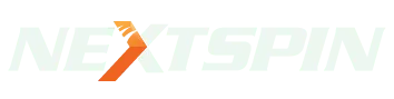 Logo DS Gaming