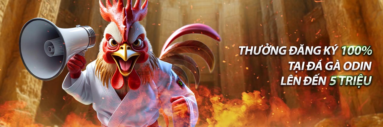 Hình ảnh minh họa chính sách quyền riêng tư của k8vina, nhấn mạnh bảo mật dữ liệu và niềm tin của người chơi.